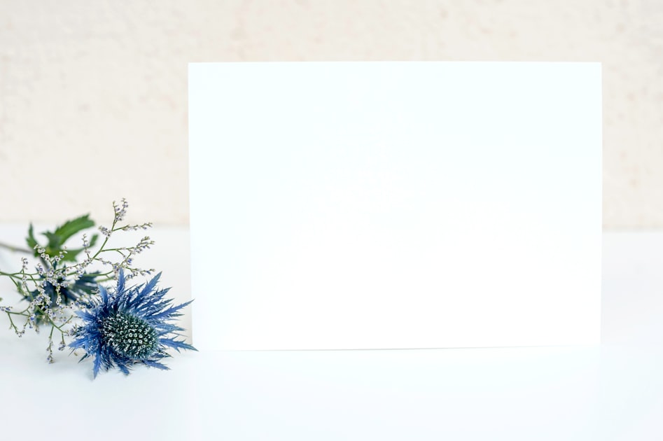 Getting Started with Divi